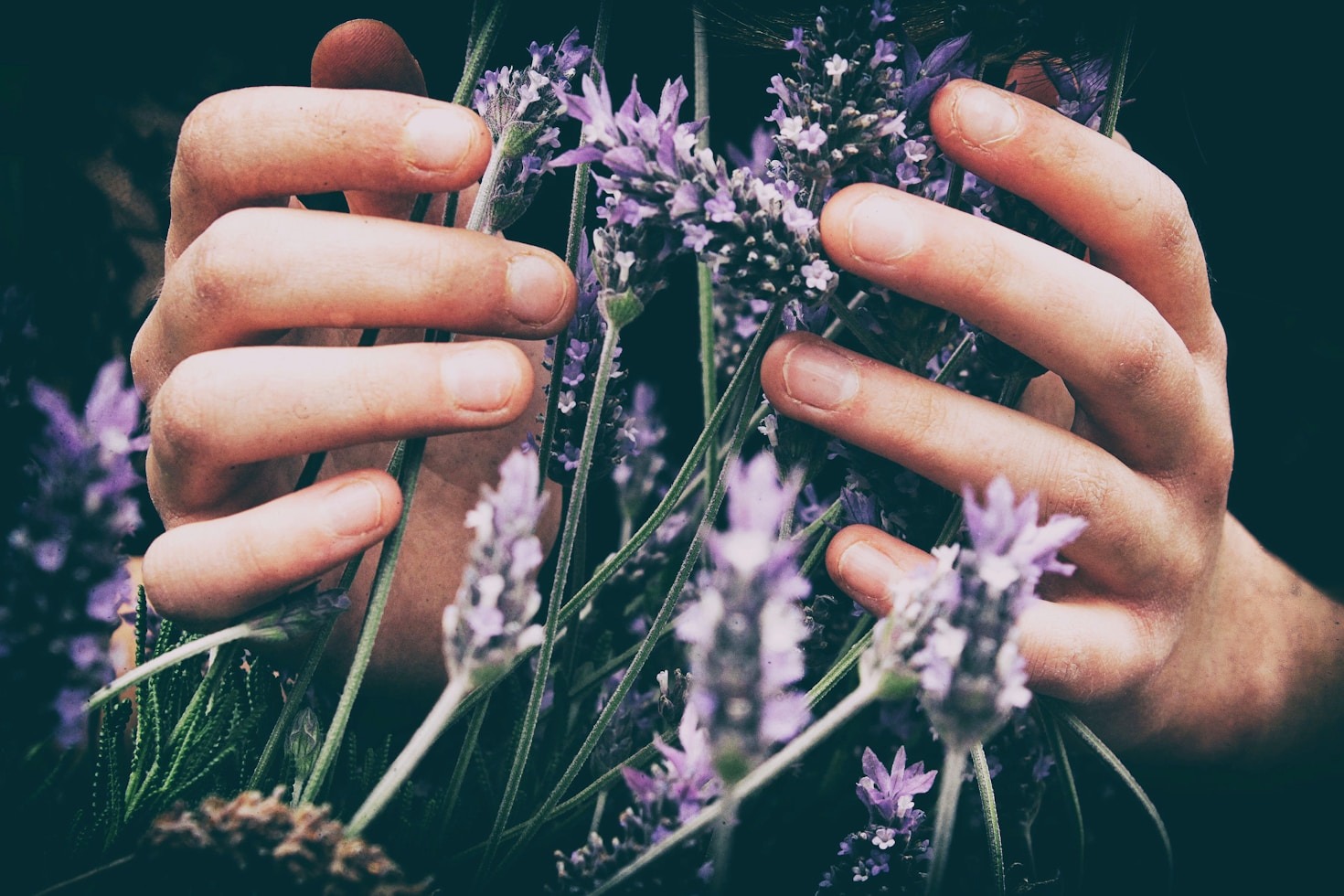 Como Escolher o Aroma Ideal para Sua Casa